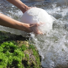 Si la urna va a ser depositada en el mar,