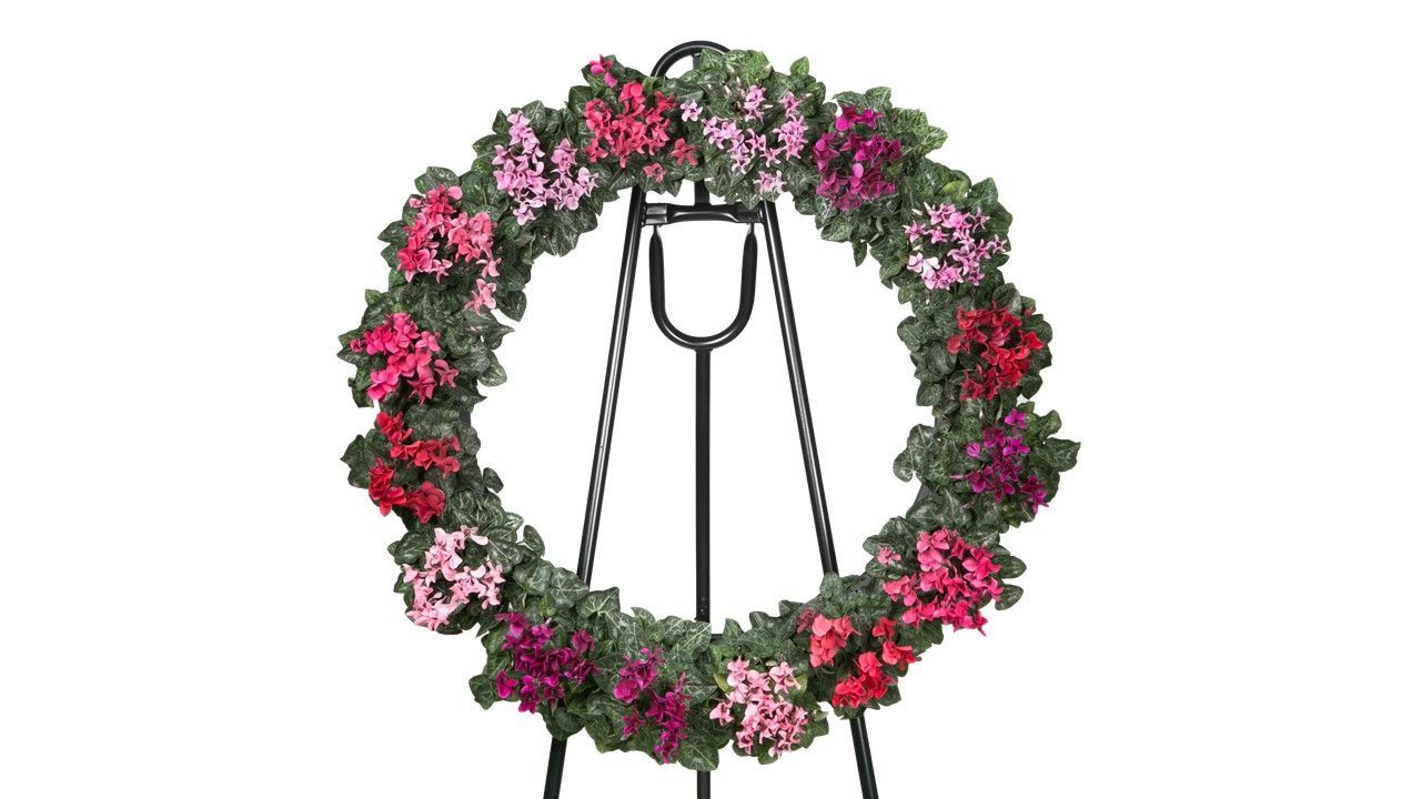 Couronne en plantes vivantes