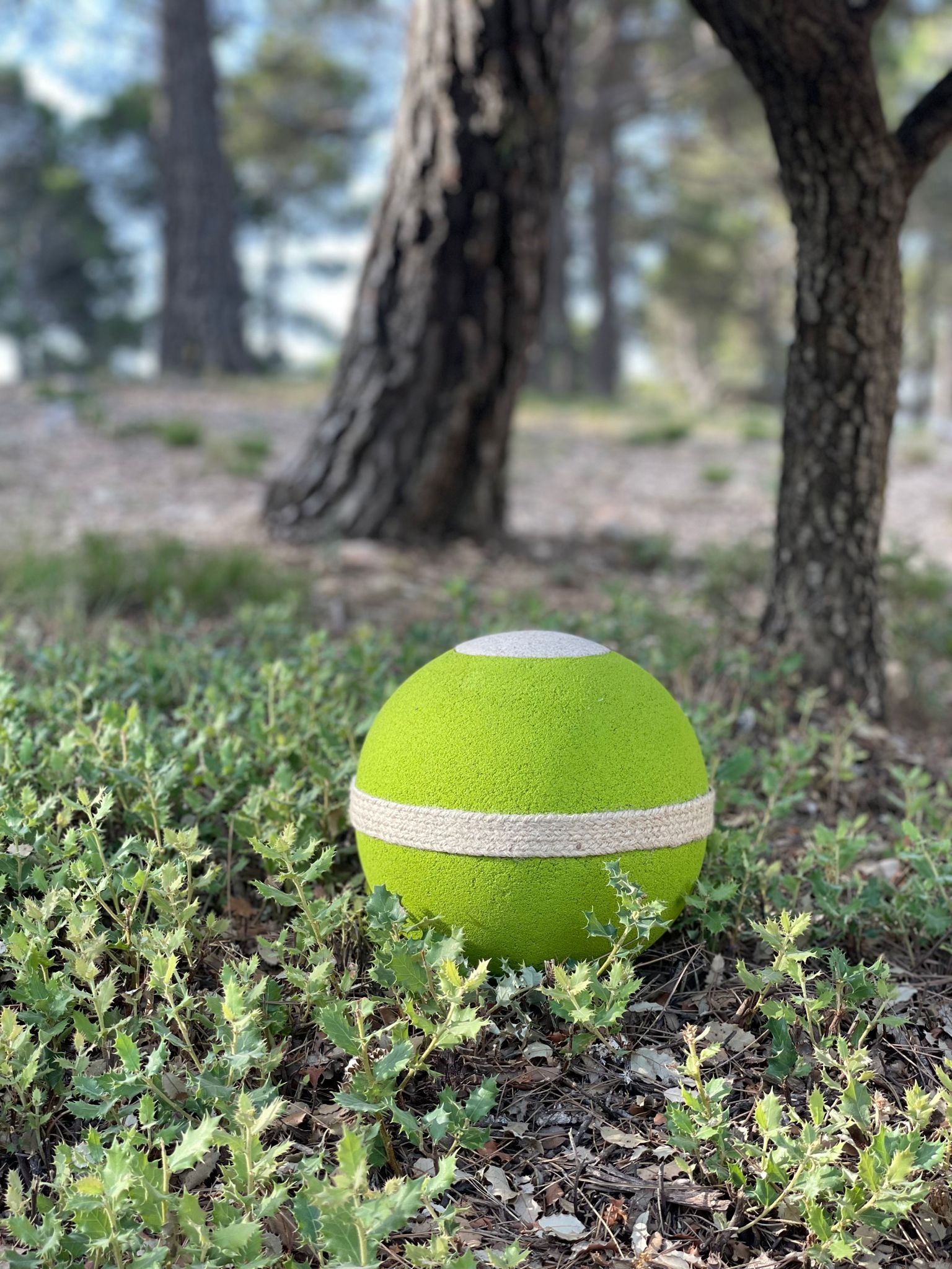 Biodegradable urn of olive stones Olea