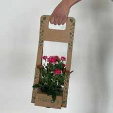 Extraire les pots de plantes fleuries