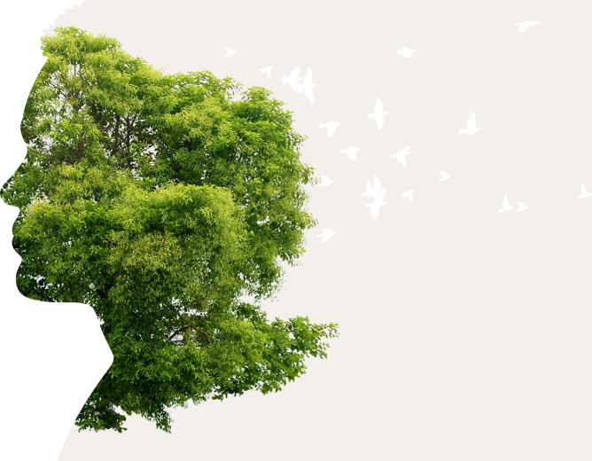 Avez-vous des questions ?