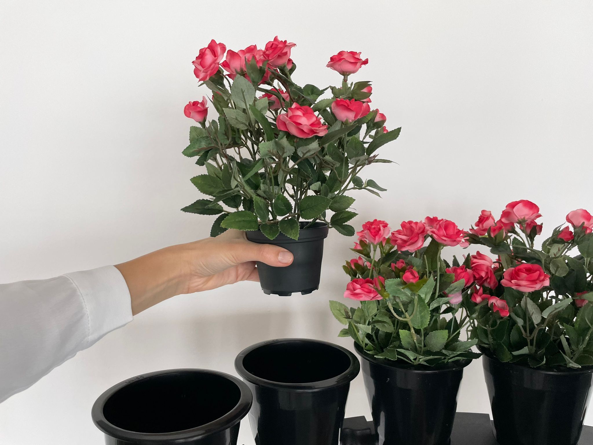¿Sabías que cada flor cortada podría emitir hasta 3 kg de CO2?